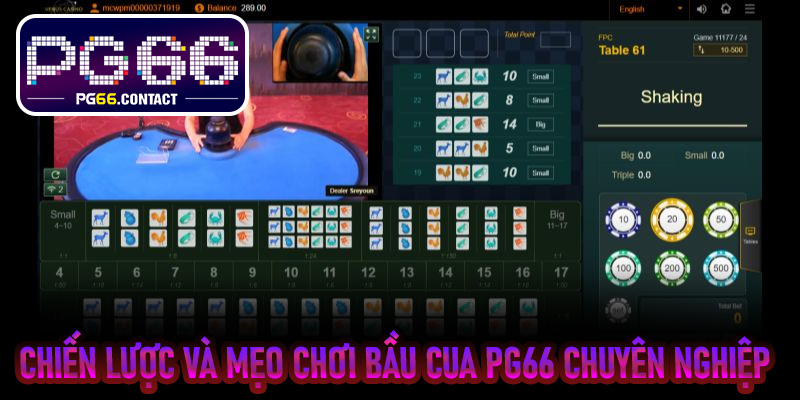 Chiến lược và mẹo chơi Bầu Cua PG66 chuyên nghiệp